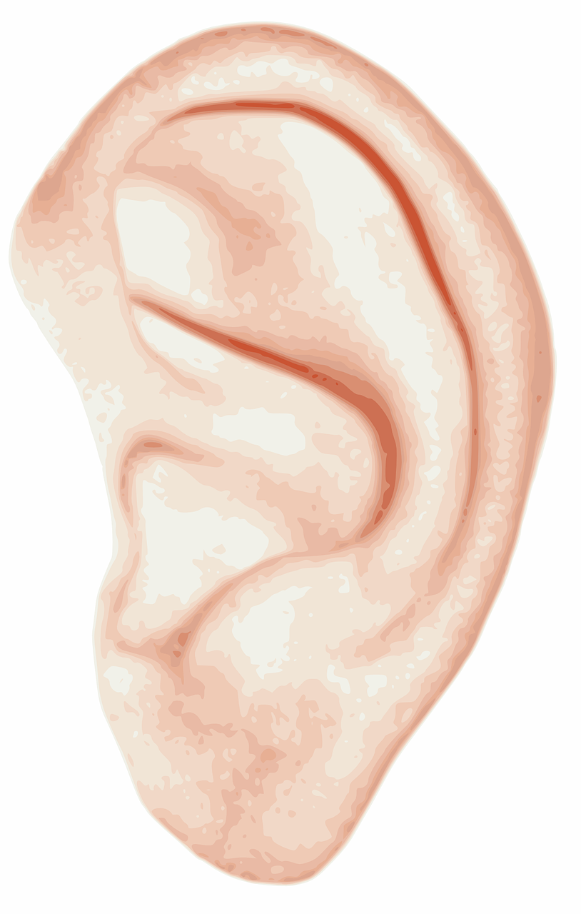 Perforated Eardrum